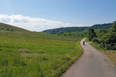 Radtour mit Peter auf der Vier-Täler-Tour im Heilbronner Land. Start bei gutem sonnigen Wetter  durch die Weinberge