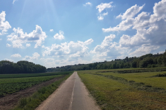 Radtour mit Peter auf der Vier-Täler-Tour im Heilbronner Land. Zurück nach Bad Friedrichshall