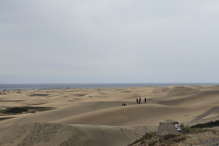 teneriffa-oder-gran-canaria-03