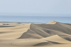 teneriffa-oder-gran-canaria-338
