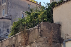 Cote-dAzur-Reise-Grasse-petit-train-fahrt-durch-die-historische-altstadt-33