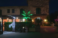 Côte d’Azur Reise Port Grimaud – Saint-Tropez. Zurück in Grasse. Restaurant Auberge les Arômes