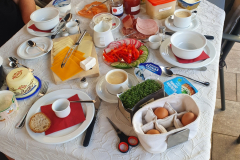 Frühstückstisch mit frischen Brötchen, Obst und Blumen in Holzminden vor der Heimfahrt