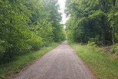 Sonntag.-4.-Mai-2025-dritter-Tag-unserer-Radtour-ueber-62-km-von-Ladenburg-nach-Eggenstein-64