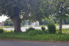 Kleiner See in Dargun mit ruhiger Wasseroberfläche und Uferbewuchs