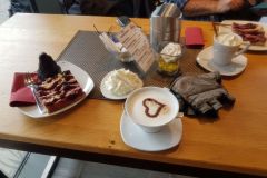 Von-Rheinbruecke-Wintersdorf-bis-zur-Kaffeepause-06