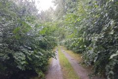 Von-Rheinbruecke-Wintersdorf-bis-zur-Kaffeepause-16