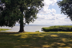 Blick vom Ufer über den Kummerower See bei leichtem Sonnenschein