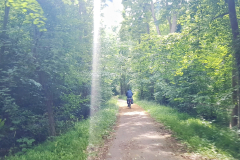 Hinausradeln aus Neustrelitz – Seenplatte Radtour vierte Etappe
