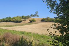 burg-ravensburg-kraichgau-358