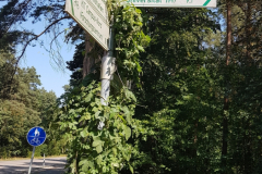 burg-ravensburg-kraichgau-466