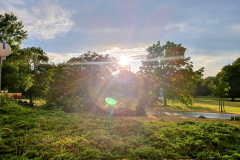 Blick in den sonnigen Hotelpark vom Parkhotel Neubrandenburg