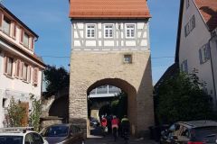 Von-Marbach-nach-Kirchheim-am-Neckar-13