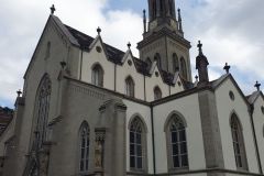 Tagesausflug-nach-st-Gallen-mit-Kirche-St-Laurenzen-09
