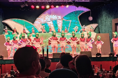 Faschingsprunksitzung des LCC Leopoldshafen 2026 – Tänze und Bühnenauftritte unter dem Motto Love is in the Air