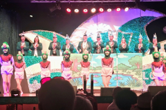 Faschingsprunksitzung des LCC Leopoldshafen 2026 – Tänze und Bühnenauftritte unter dem Motto Love is in the Air