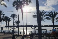 Vorzuegliches-Geburtstagsessen-im-Restaurant-Limonella-an-der-Playa-de-las-Americas-auf-Teneriffa-02