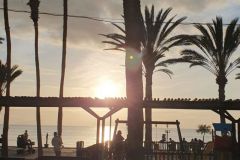 Vorzuegliches-Geburtstagsessen-im-Restaurant-Limonella-an-der-Playa-de-las-Americas-auf-Teneriffa-06