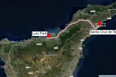 Unser-Besuch-im-Loro-Park-auf-Teneriffe09