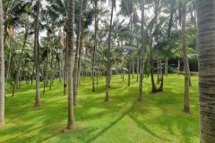 Unser-Besuch-im-Loro-Park-auf-Teneriffe-12