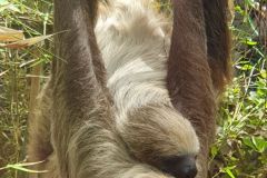 Unser-Besuch-im-Loro-Park-auf-Teneriffe-27