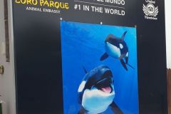 Unser-Besuch-im-Loro-Park-auf-Teneriffe-28