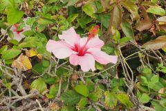Unser-Besuch-im-Loro-Park-auf-Teneriffe-29