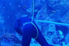 Der-Besuch-im-Loro-Park-auf-Teneriffa-geht-langsam-zu-Ende-24