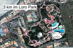 Der-Besuch-im-Loro-Park-auf-Teneriffa-geht-langsam-zu-Ende-32