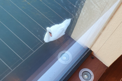 flusskreuzfahrt-etappe10-lyon-letzter-Abend-auf-dem-schiff-24