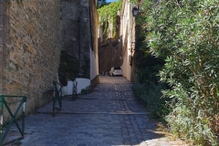Viele Treppen zur Basilika Notre Dame de Fourviere