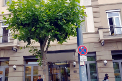 Start-in-Mainz-mit-besuch-des-mainzer-Doms-02