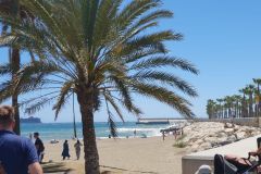 Am-Strand-von-Malaga-Malagueta-01