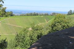 Mittagessen-auf-Schloss-Staufenberg-in-Durbach-04