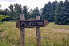 Der Aussichtsturm Moorochse – beliebter Platz für Ornithologen