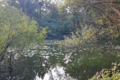 Vom-Oberwaldsee-ueber-Durlach-zum-Weingartener-Moor-02