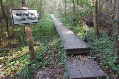 Vom-Oberwaldsee-ueber-Durlach-zum-Weingartener-Moor-15