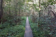 Vom-Oberwaldsee-ueber-Durlach-zum-Weingartener-Moor-16
