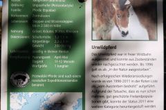 Der-Oberwald-in-Karlsruhe-06
