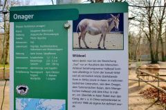 Spaziergang-in-den-Tierpark-Oberwald-am-1.-Januar-2025-in-Karlsruhe-06