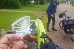 Seenplatte Etappe 4 Stärkung mit Müsli Riegel im Schlosspark
