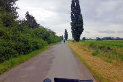 Durch-die-Auenlandschaft-nach-Pfungstadt-01