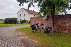 Durch-die-Auenlandschaft-nach-Pfungstadt-02