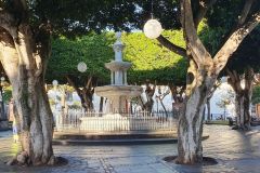 Plaza-del-Adelantado-in-La-Laguna-Santa-Cruz-deTenerife-03