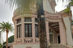 Stadtspaziergang-am-ersten-Nachmittag-in-Santa-Cruz-de-Teneriffe-08