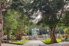 Stadtspaziergang-am-ersten-Nachmittag-in-Santa-Cruz-de-Teneriffe-14