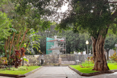 Stadtspaziergang-am-ersten-Nachmittag-in-Santa-Cruz-de-Teneriffe-15