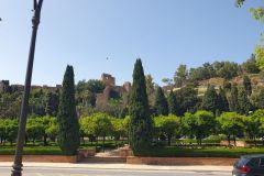 Stadtpark-und-Rathaus-von-Malaga-11