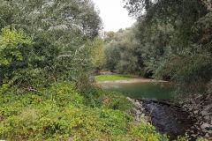 Von-der-Insel-Rott-zum-Rheinufer-13