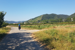 Rhône-Radweg Tag 2 zwischen Saint-Vallier, Tournon-sur-Rhône, Valence und Le Pouzin entlang der ViaRhôna